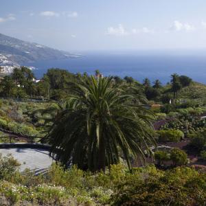 Mirador al mar en Jardín botánico del Parador de La Palma