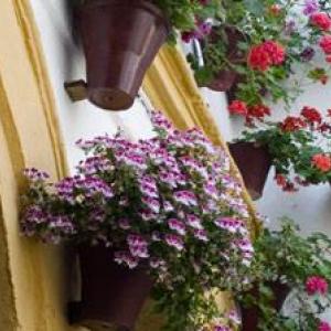 Balcones floridos en los barrios de Córdoba